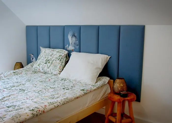 Wśród Sosen Dom wakacyjny Borsk