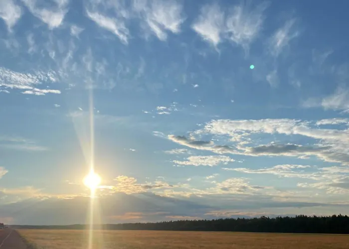 Dom wakacyjny Wśród Sosen *