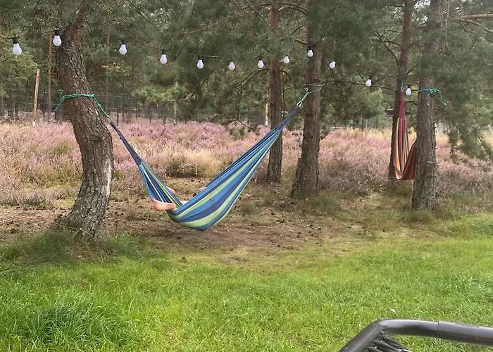 Dom wakacyjny Wśród Sosen *