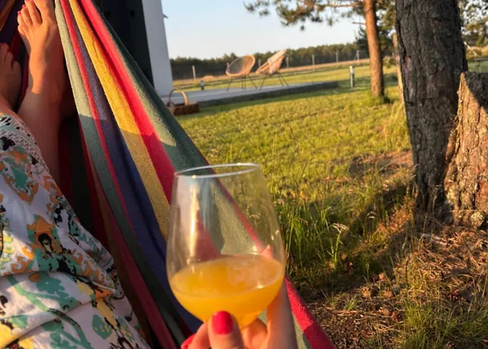 Dom wakacyjny Wśród Sosen Borsk